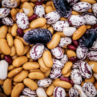 Dried Pinto Beans