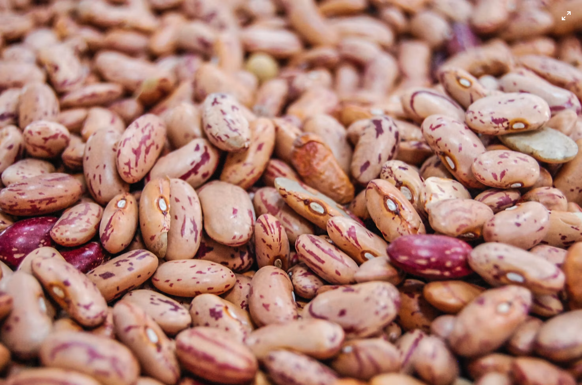 Ayocote Morado Heirloom Beans