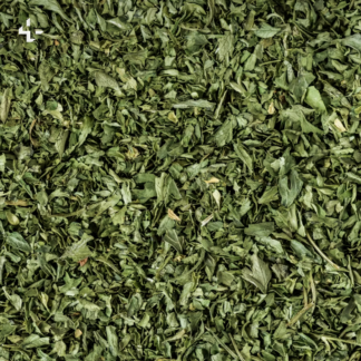 Mexican Oregano